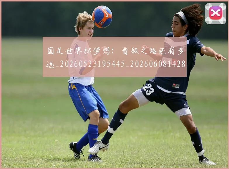 国足世界杯梦想:晋级之路还有多远_20260523195445_20260608142822