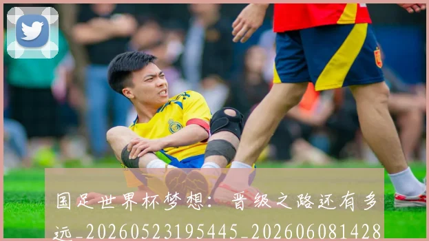 国足世界杯梦想:晋级之路还有多远_20260523195445_20260608142822